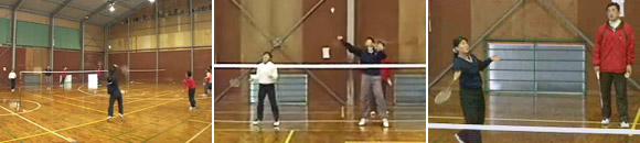 メディア掲載実績